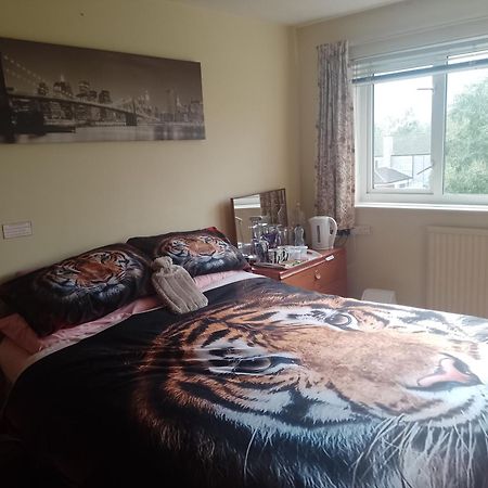 216 Glyn Eiddew Hotel Cardiff Buitenkant foto